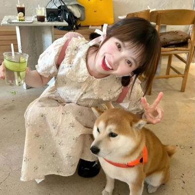 森林进化论 第二季