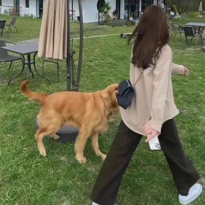 森林中的男人